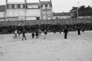 Enlèvement Arbre Urgence Houilles